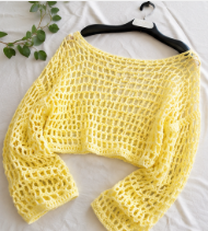 Sunbeam Crochet crop mesh top Shrug long sleeves